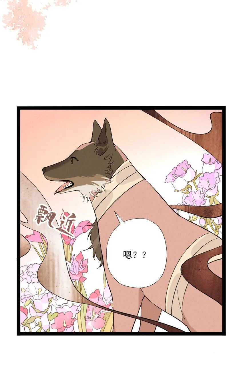 05 物种不同的爱人34