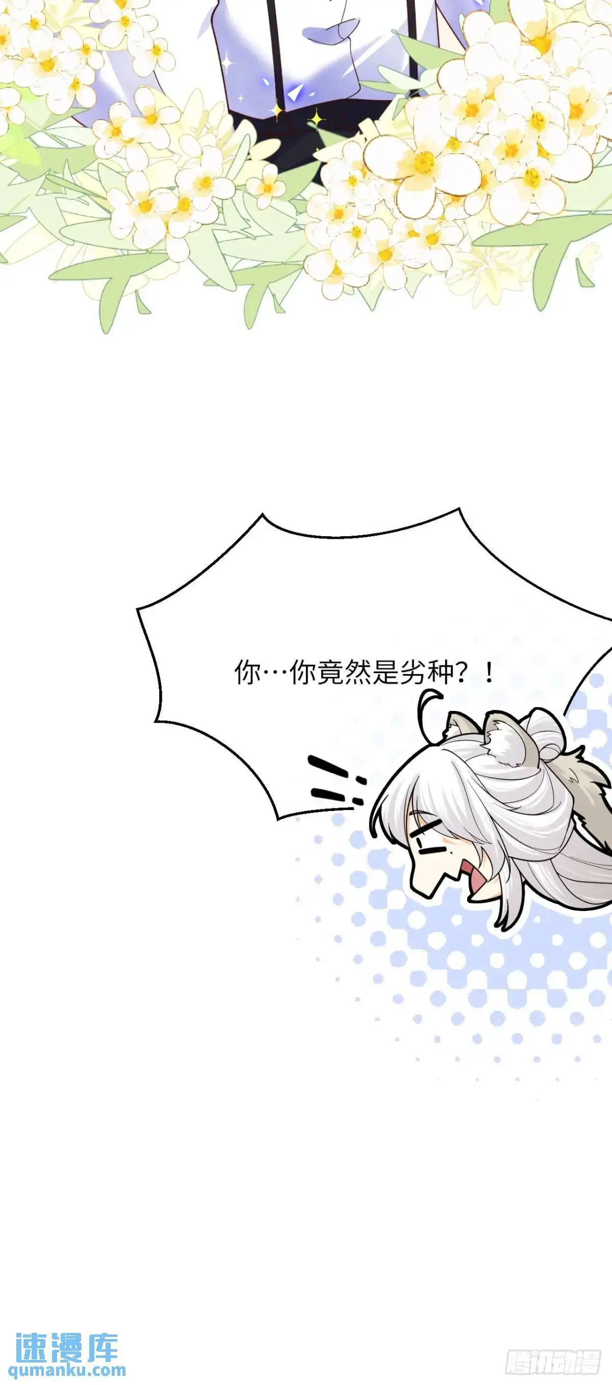 022 大忽悠36