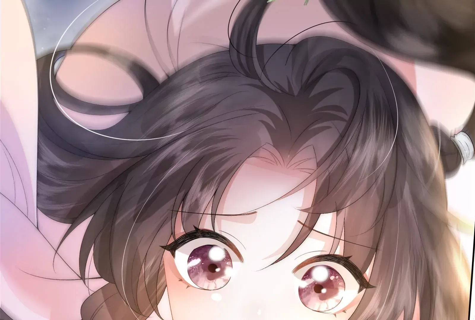 娇柔孤女X病弱世子12