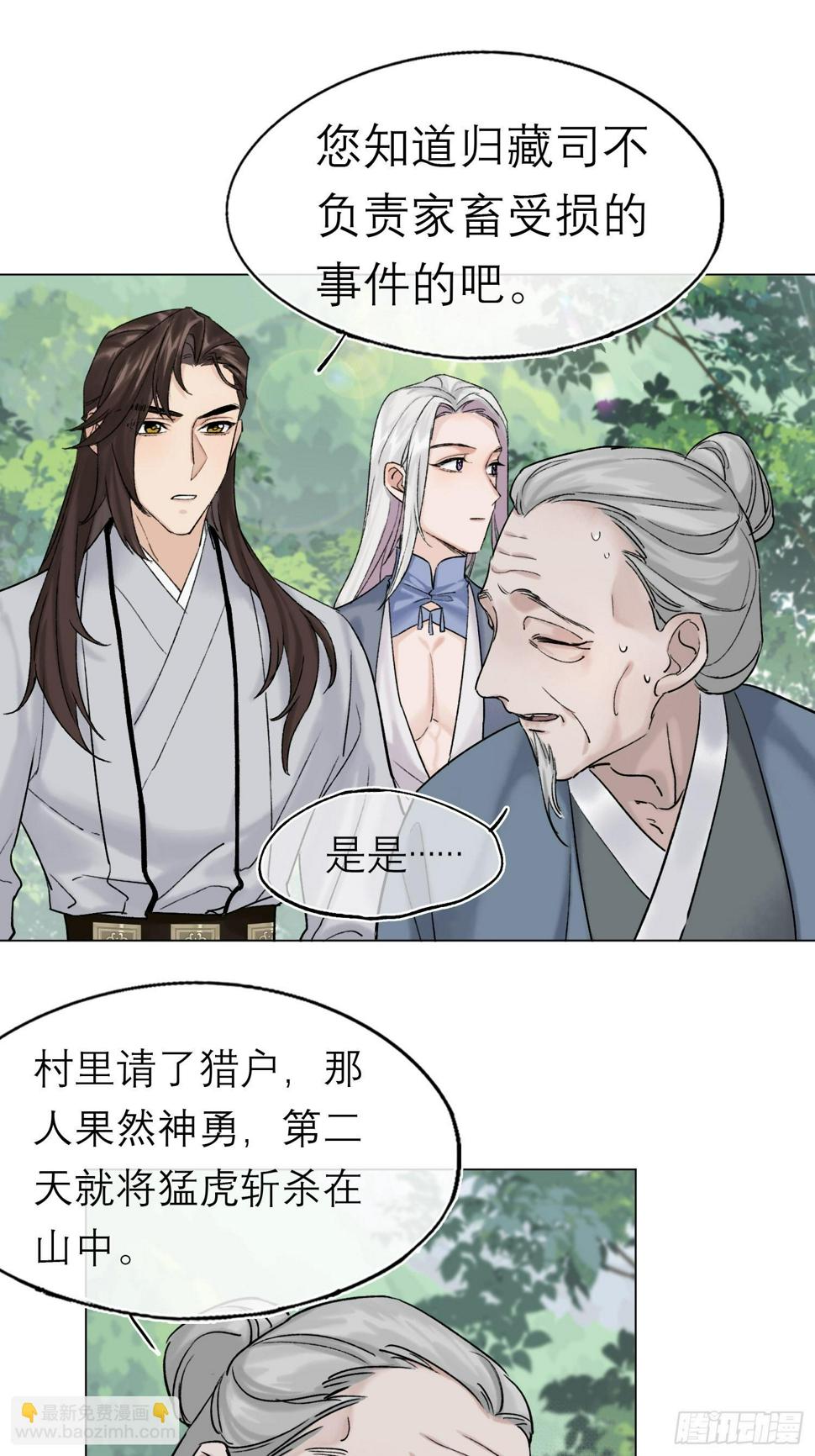 老虎11