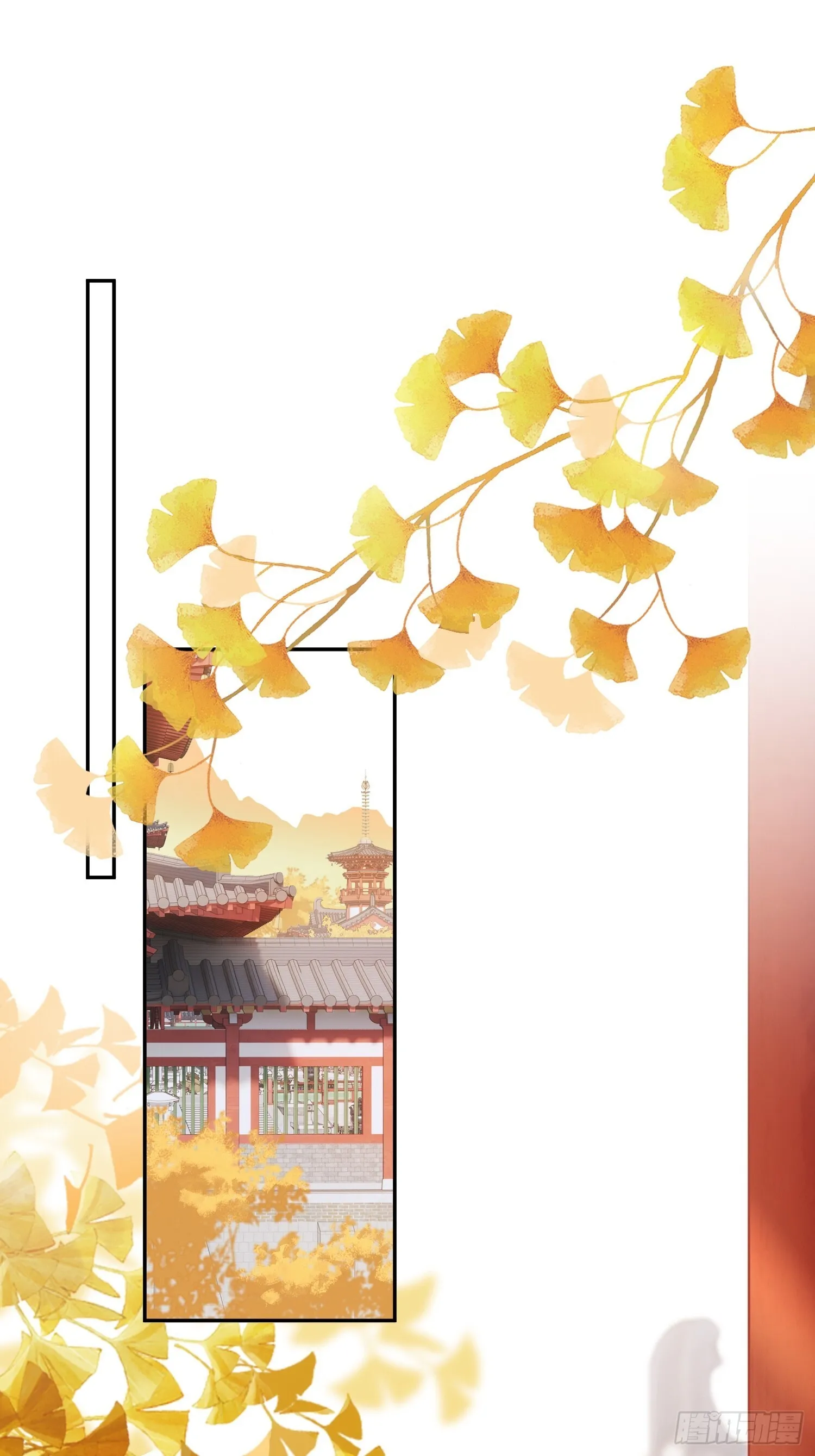 喜轿4