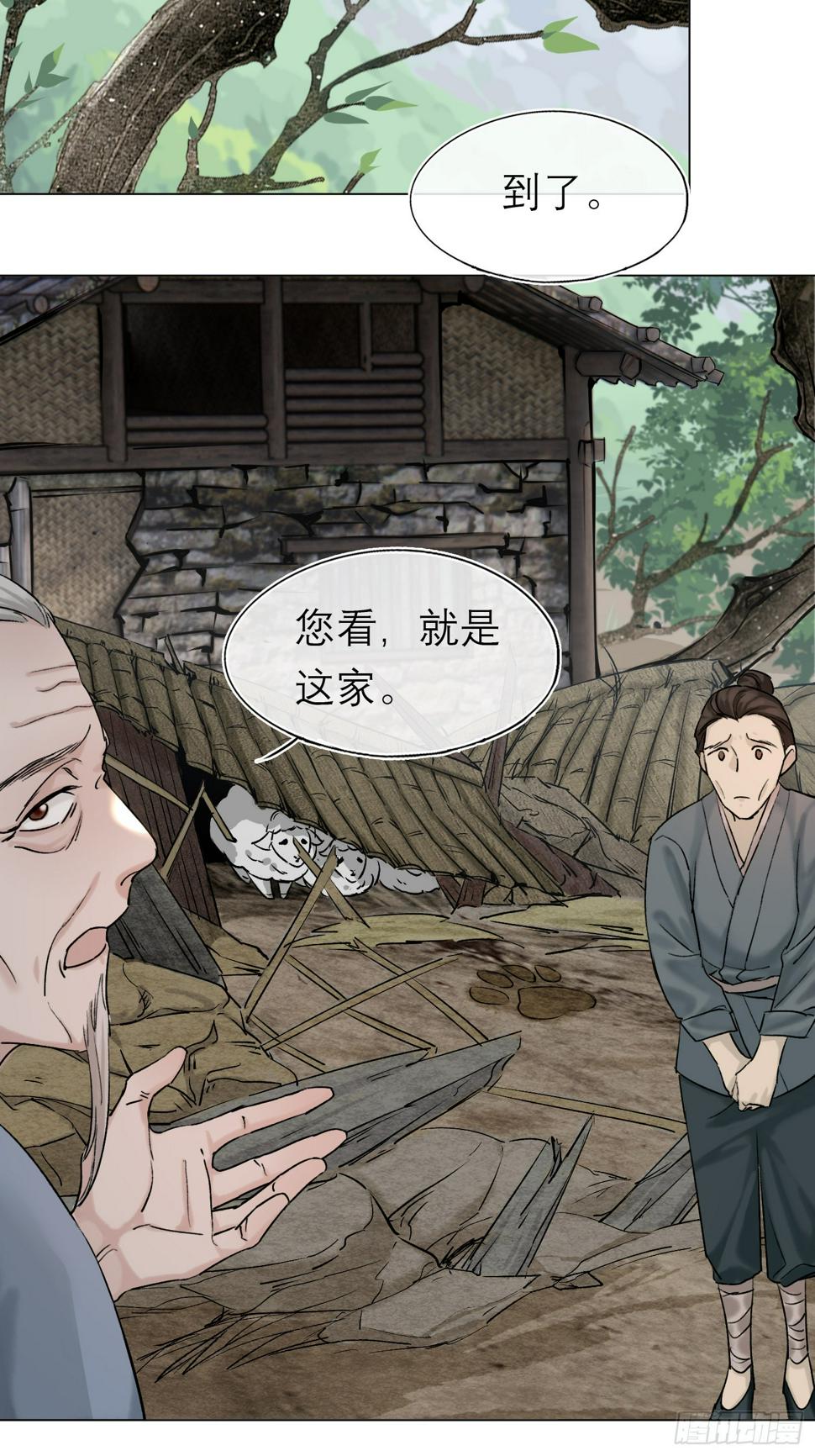老虎14