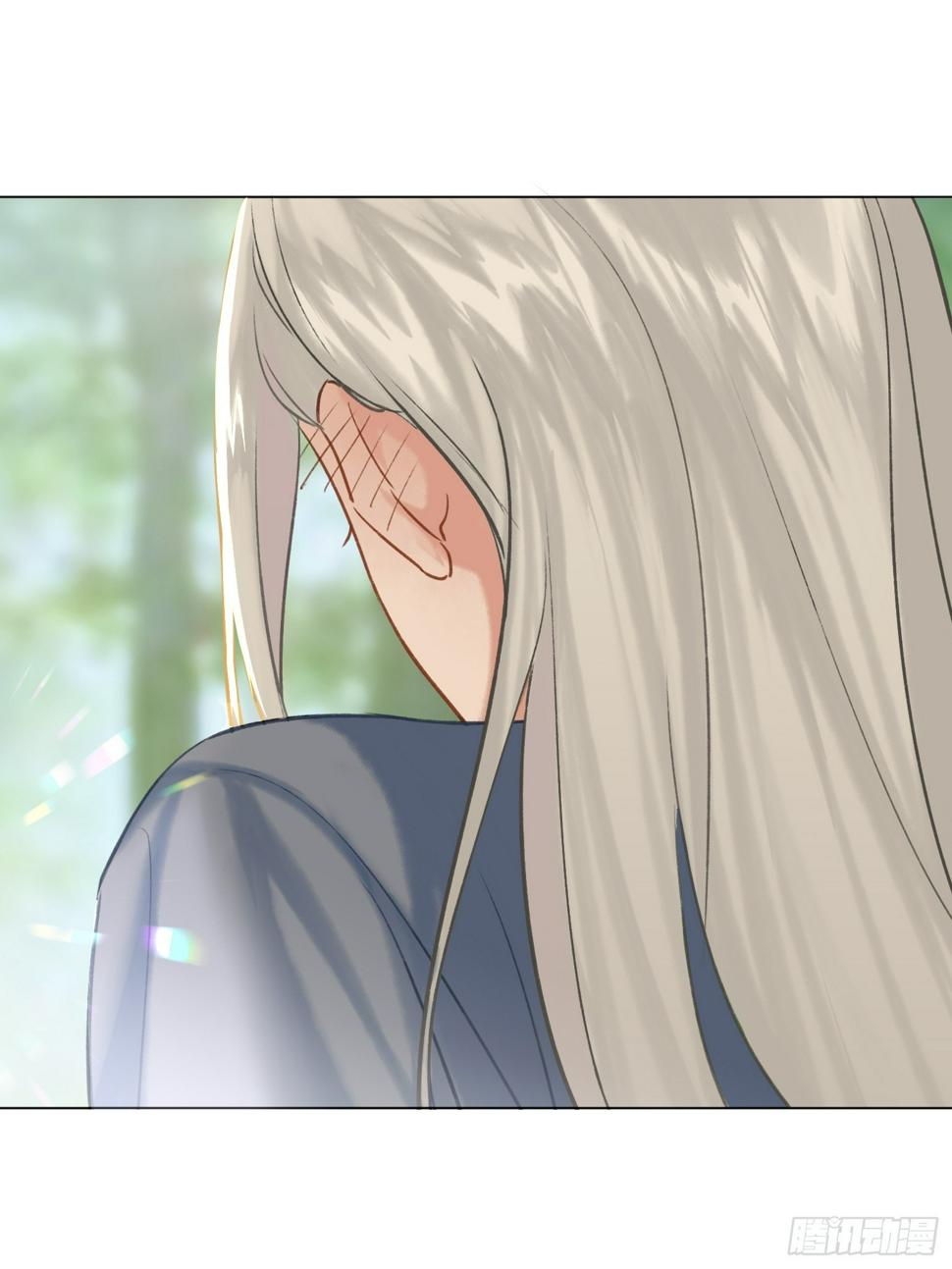 老虎0
