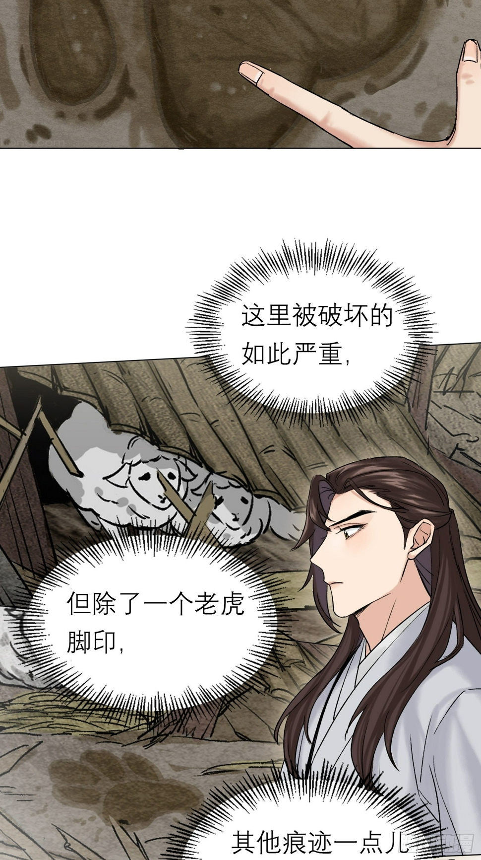 老虎18