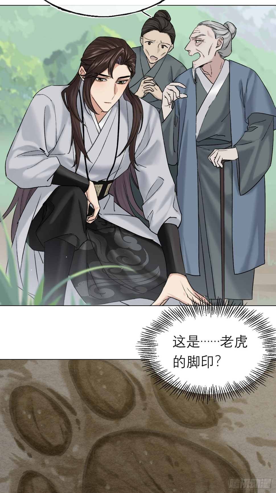 老虎17
