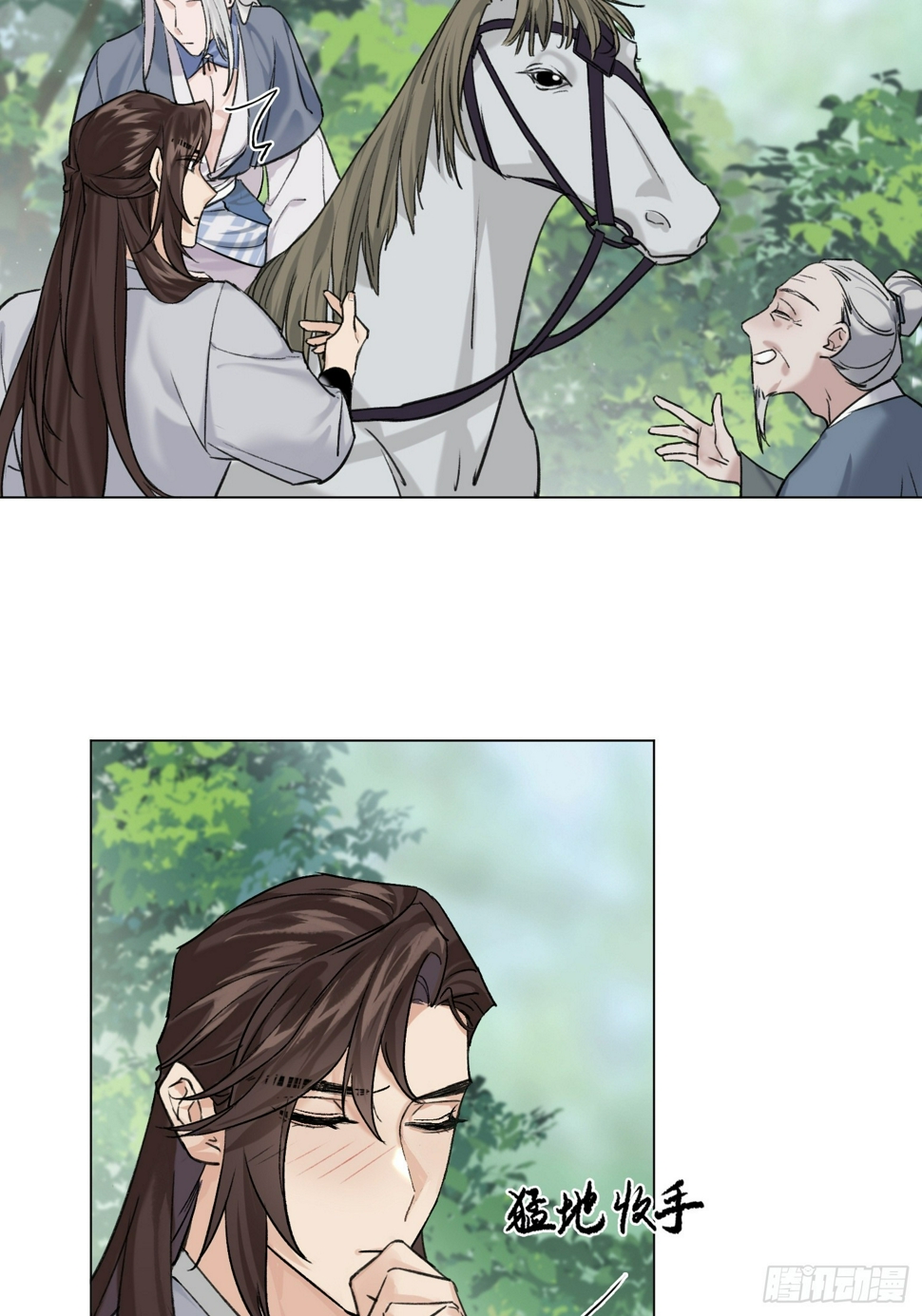 老虎7