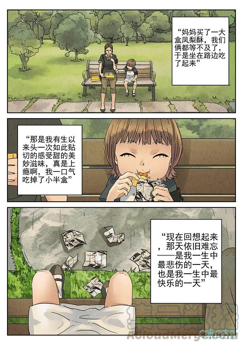 第366话：凤梨酥与朱瑾花茶（三）18