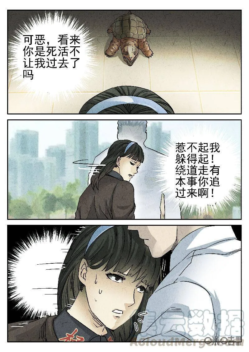 第204话3