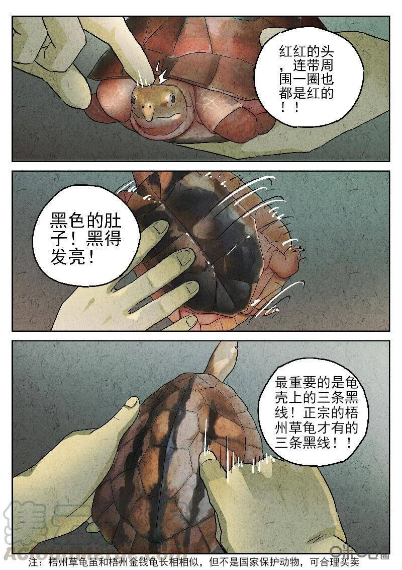 第199话6
