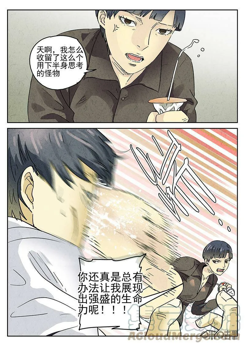 第344话：蛤蜊鲈鱼煲（三）6