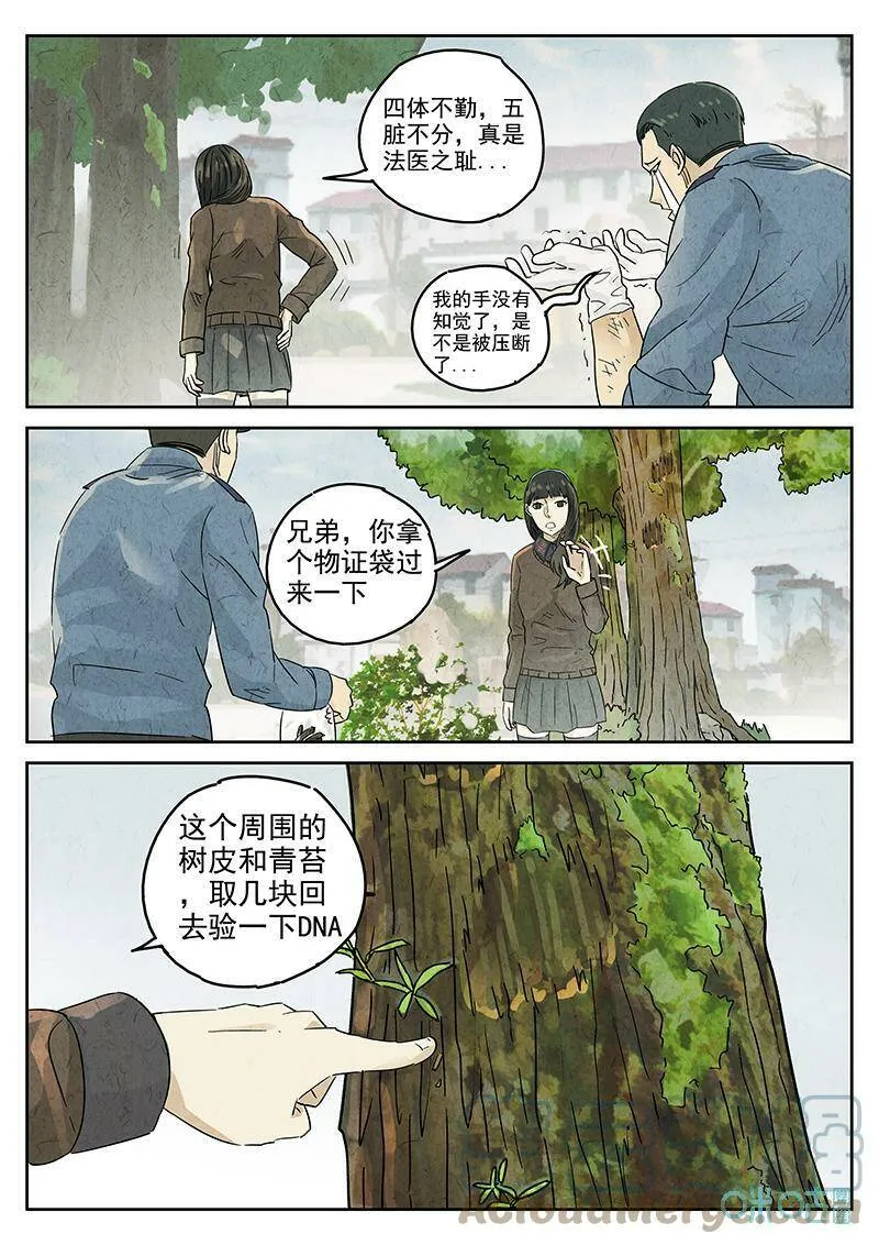 第347话：虫合蜊鲈鱼煲（六）14