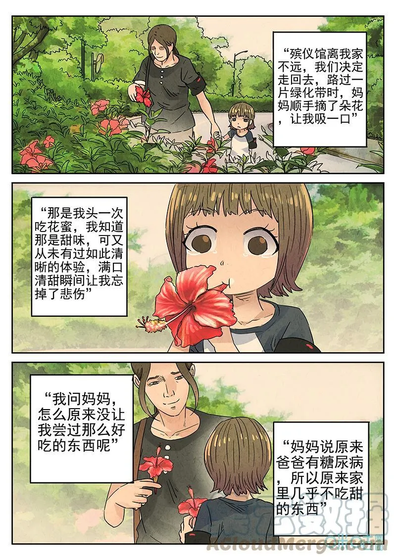 第366话：凤梨酥与朱瑾花茶（三）16