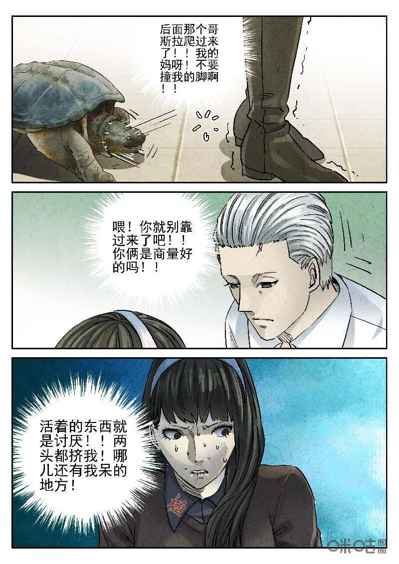 第204话5