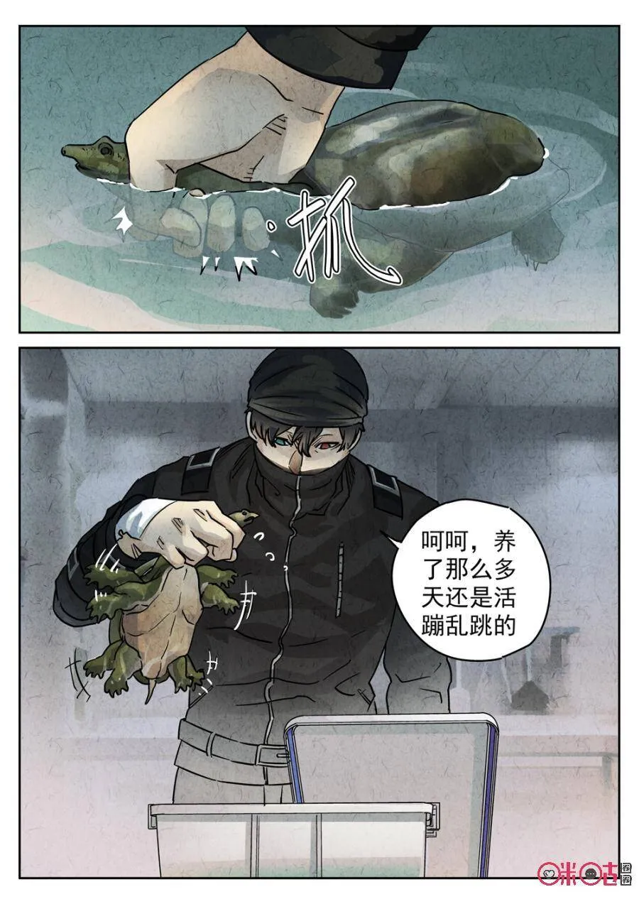 第217话：陶锅甲鱼93