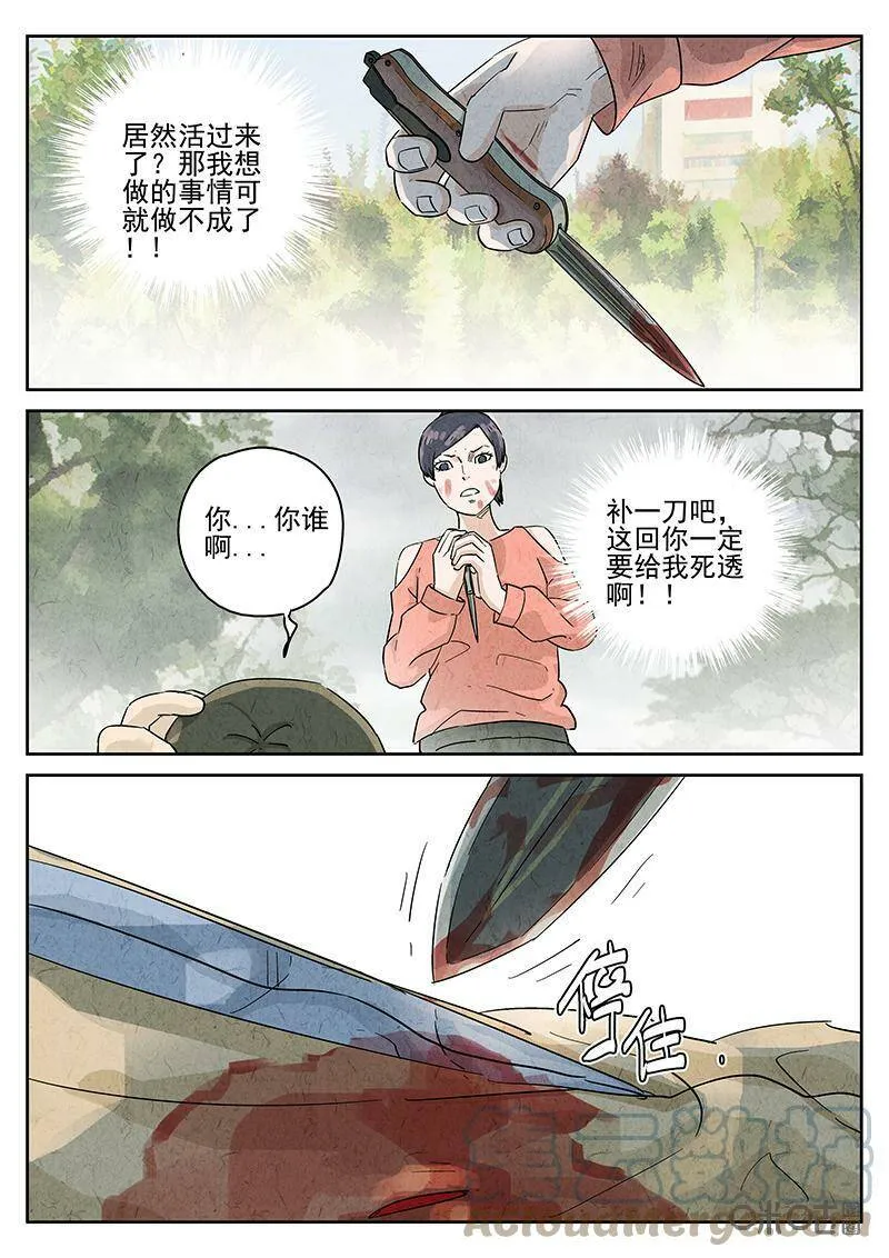 第343话：蛤蜊鲈鱼煲（二）4
