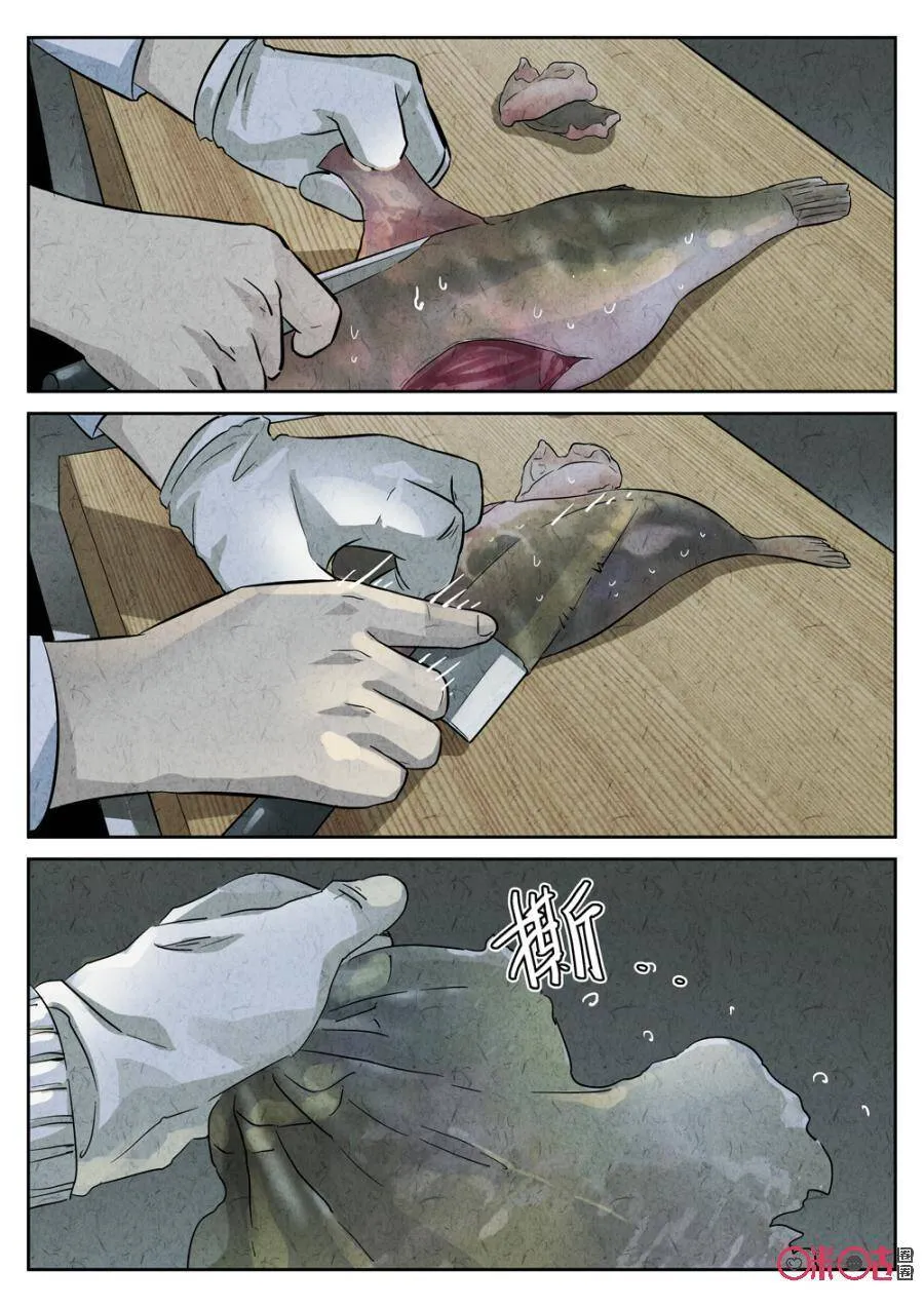 第230话：炖河豚鱼鳍酒213