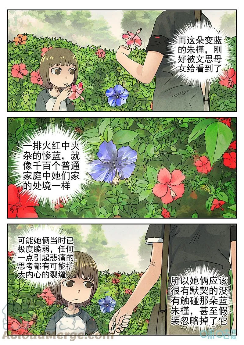 第367话：凤梨酥与朱瑾花茶（四）6