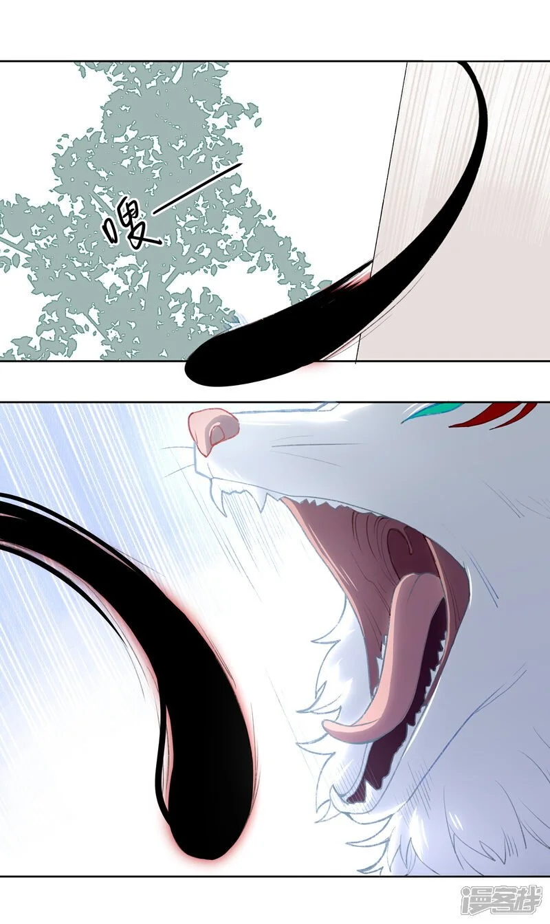 【11】狐2