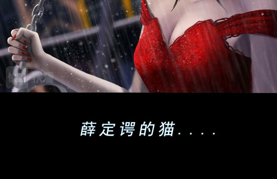 第二章 谜语人姐姐跟我谈薛定谔的猫，我没养过猫听不懂啊！11
