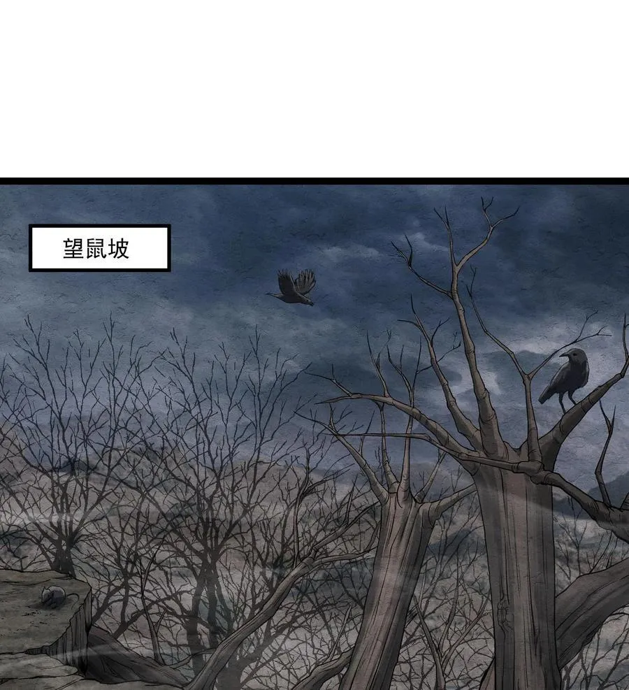 83 卓婆29