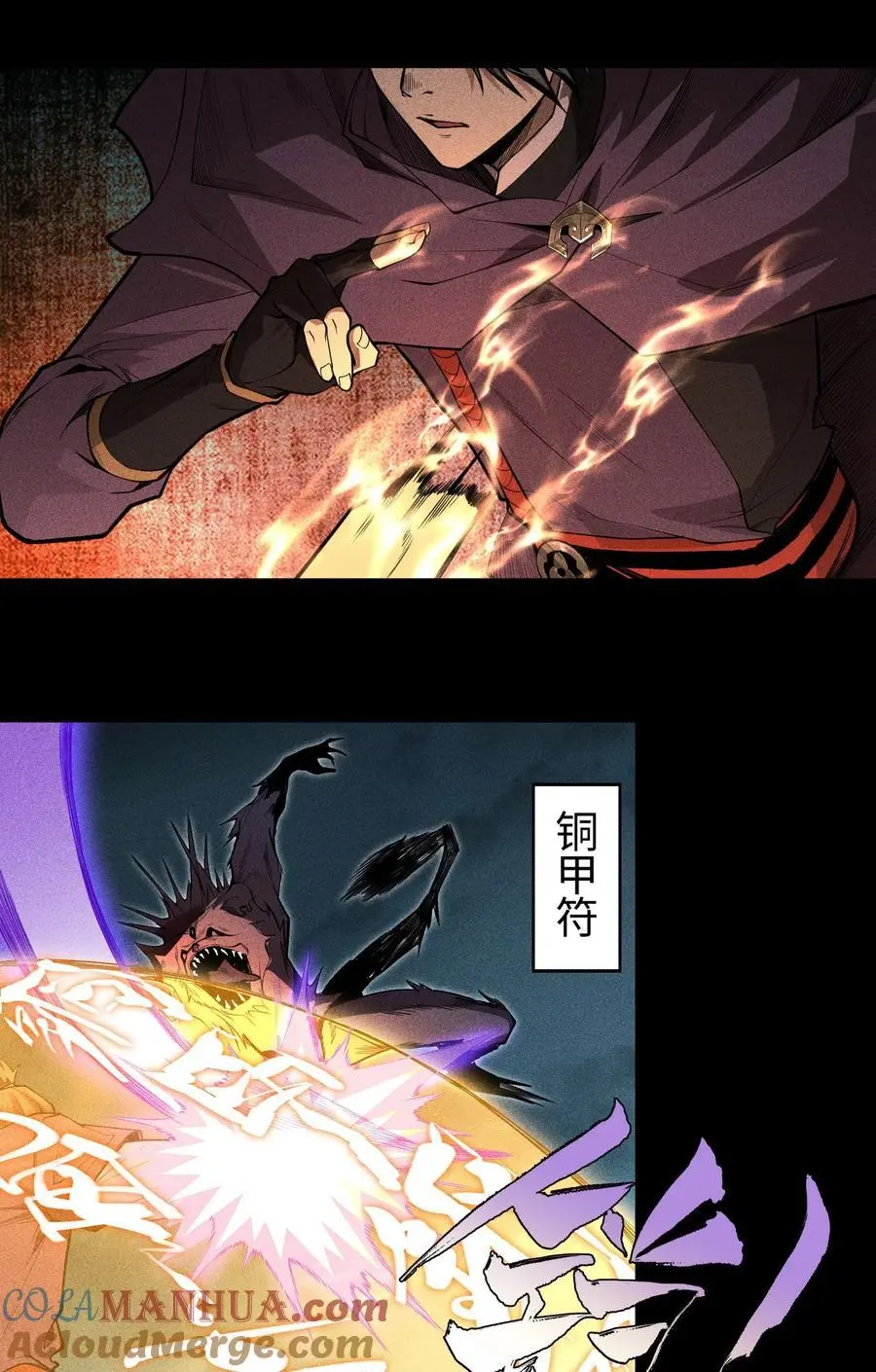 39 钢毛猬鼠26
