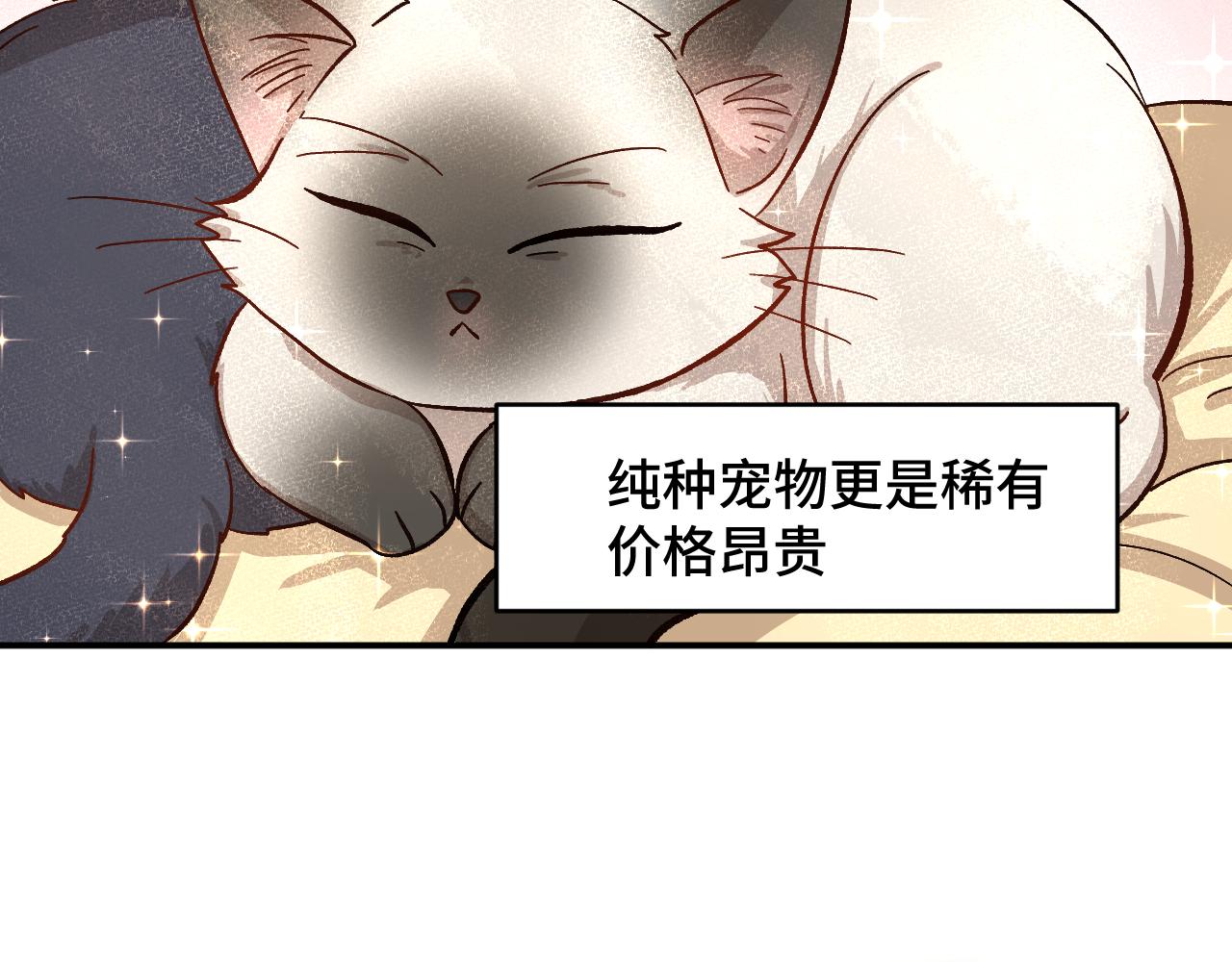 第一章 相遇9