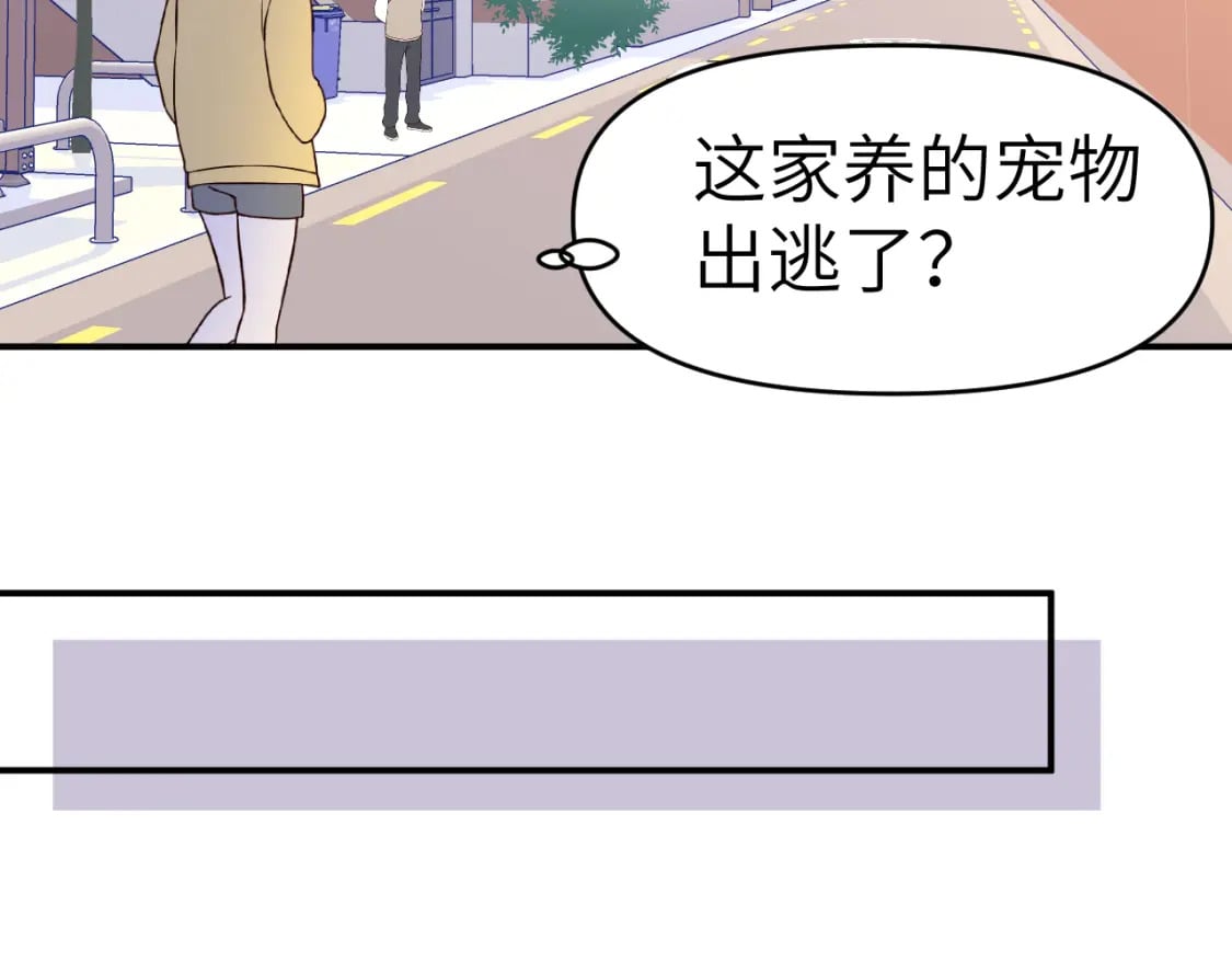 29章 他是谁？72