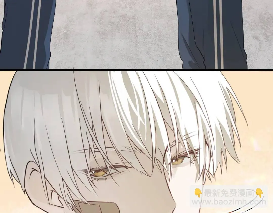 第2集 大灰狼和小白兔？105