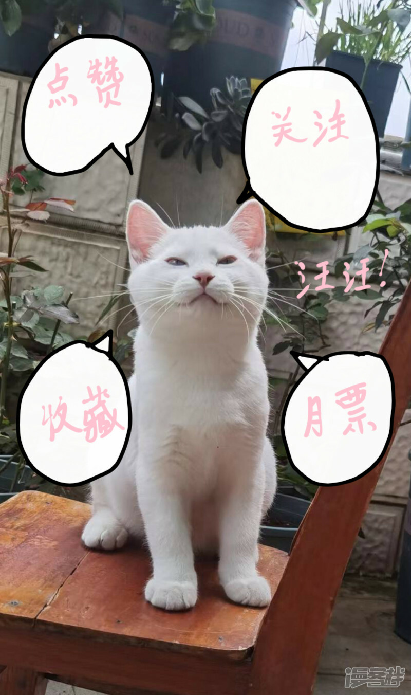 预告12