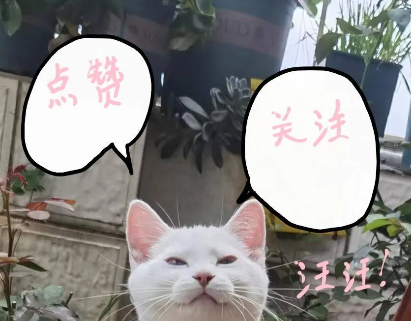 前尘篇-第二话-起程60