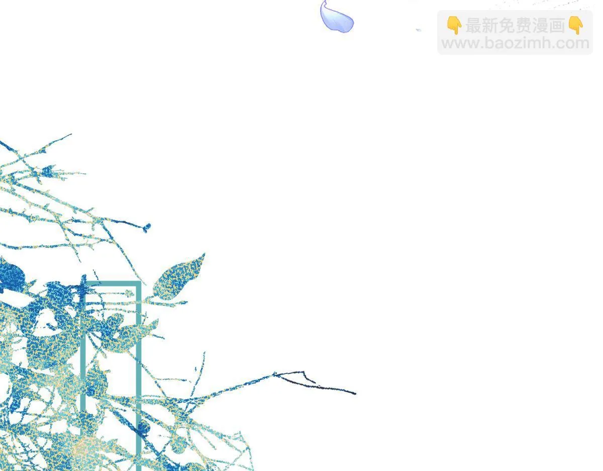12-花孔雀。43