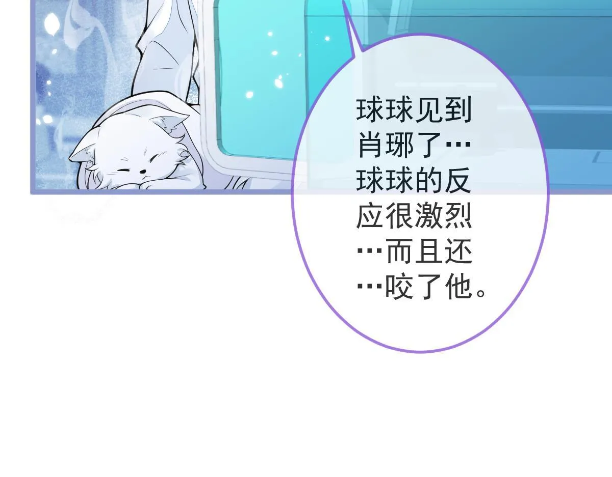 5-球球不可以！53