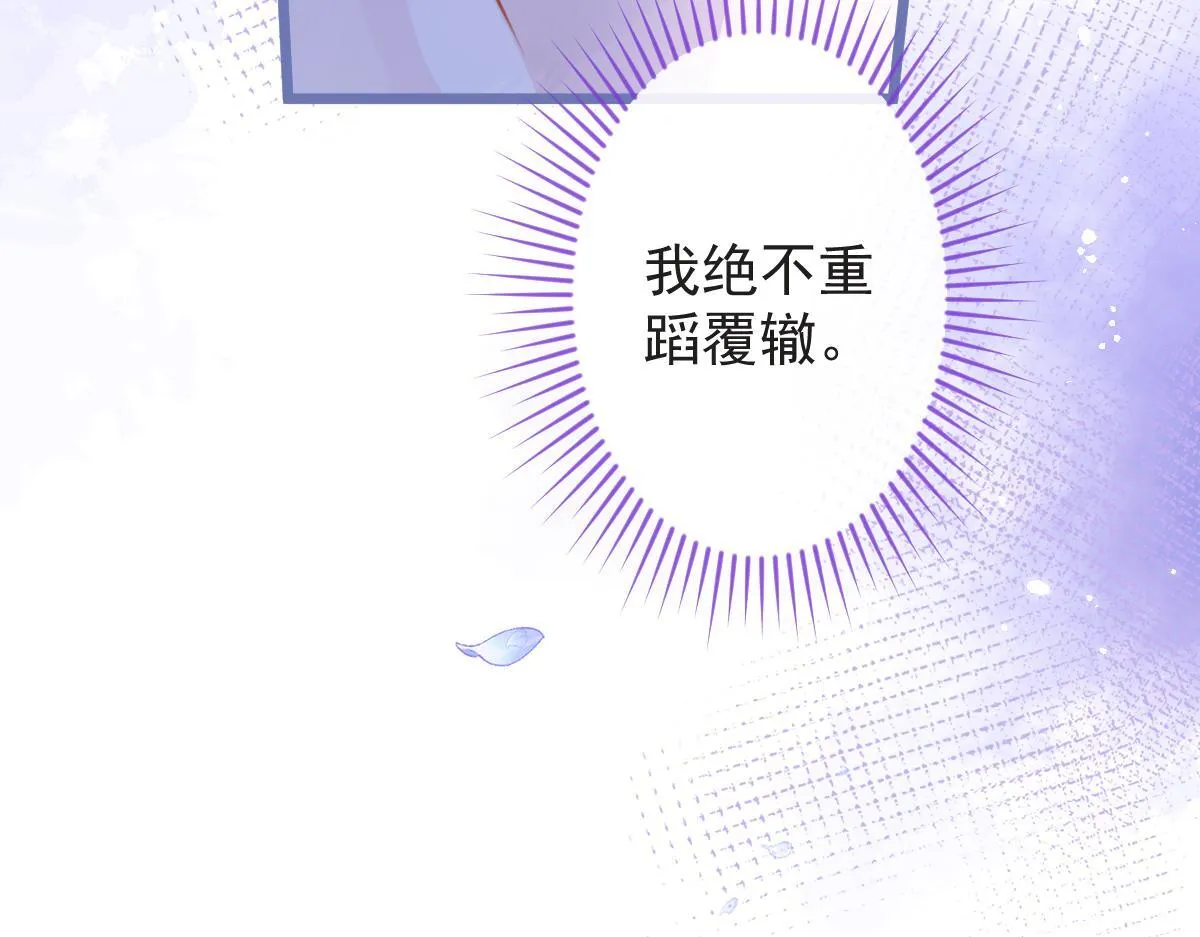 12-花孔雀。42
