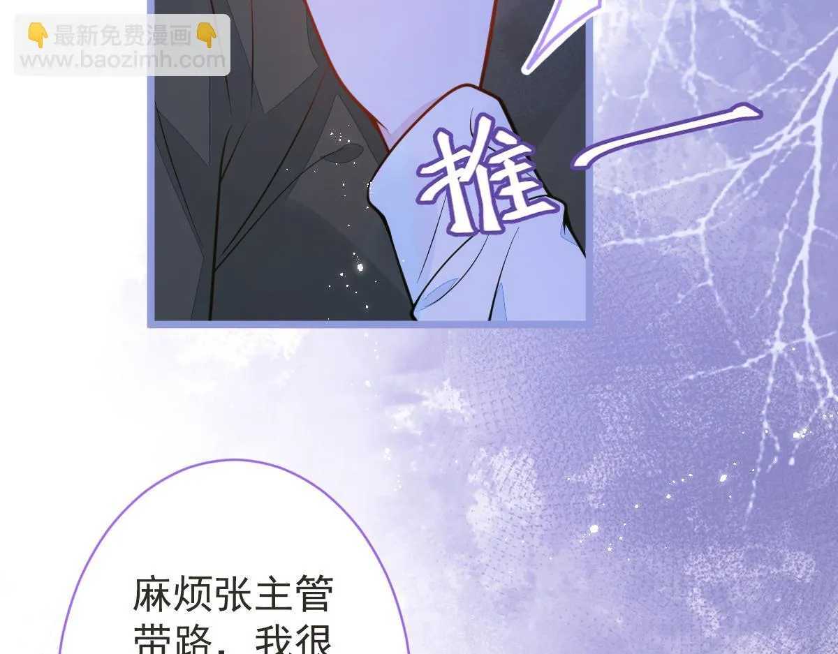 12-花孔雀。19
