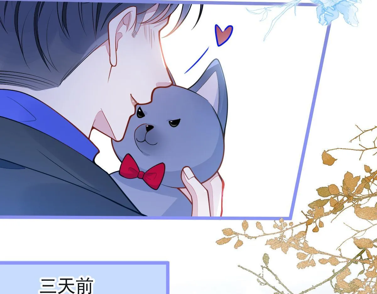 53-追妻火葬场开始12
