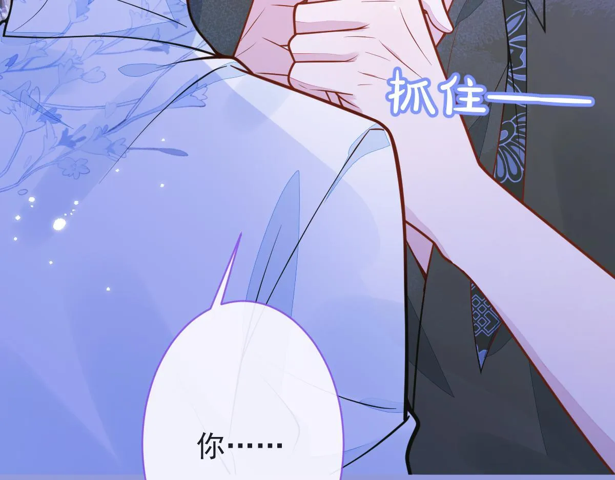 12-花孔雀。12