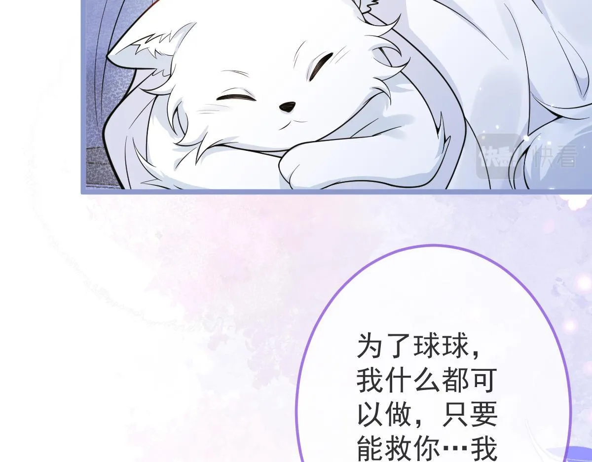 5-球球不可以！65