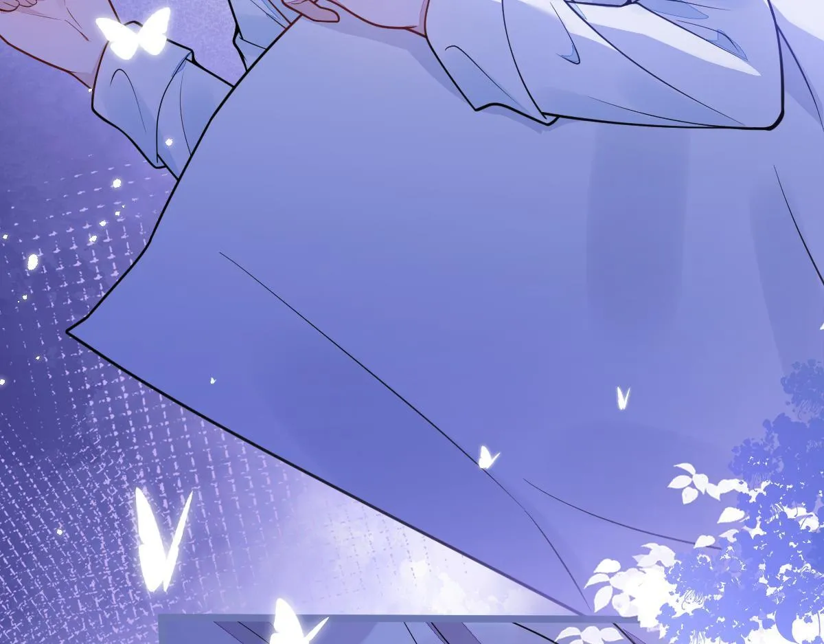 12-花孔雀。40