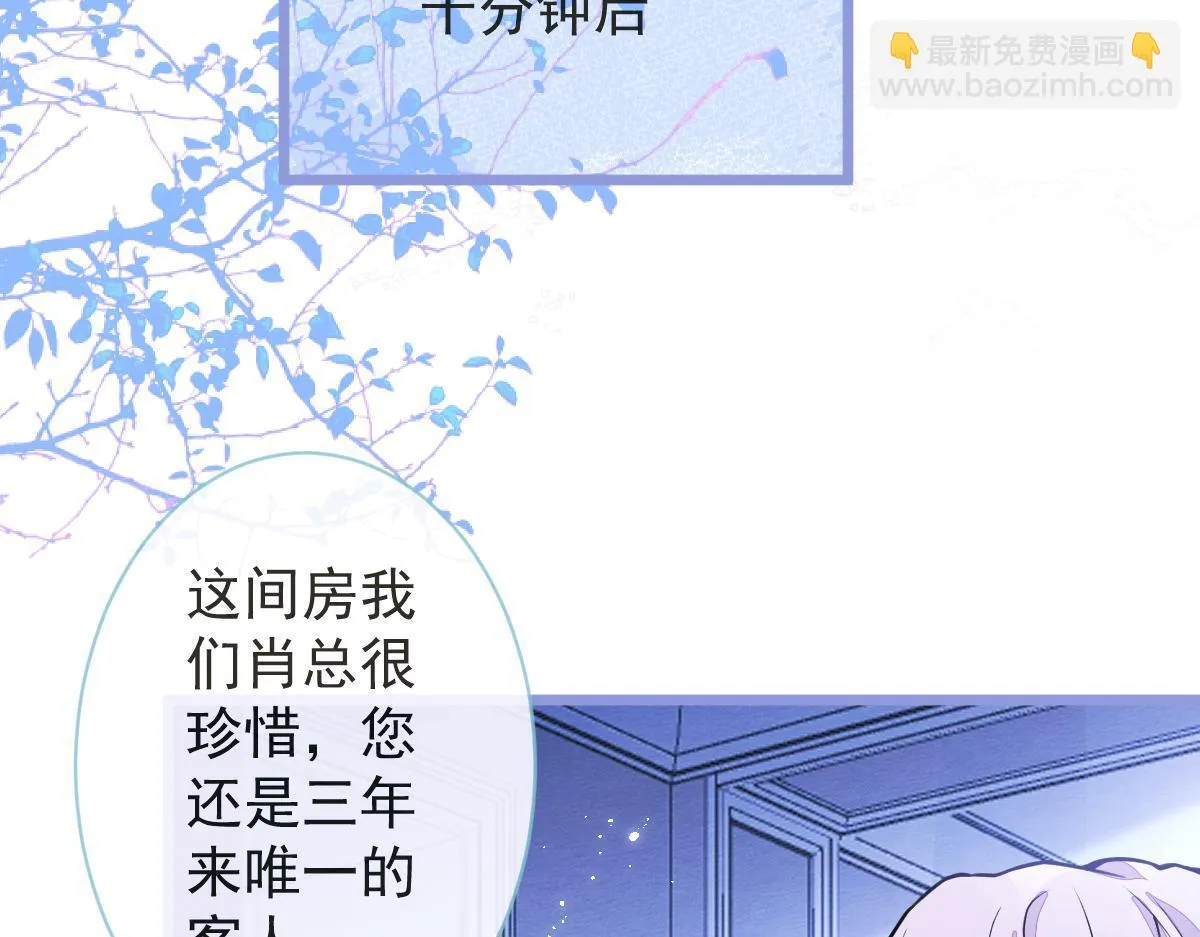 12-花孔雀。24