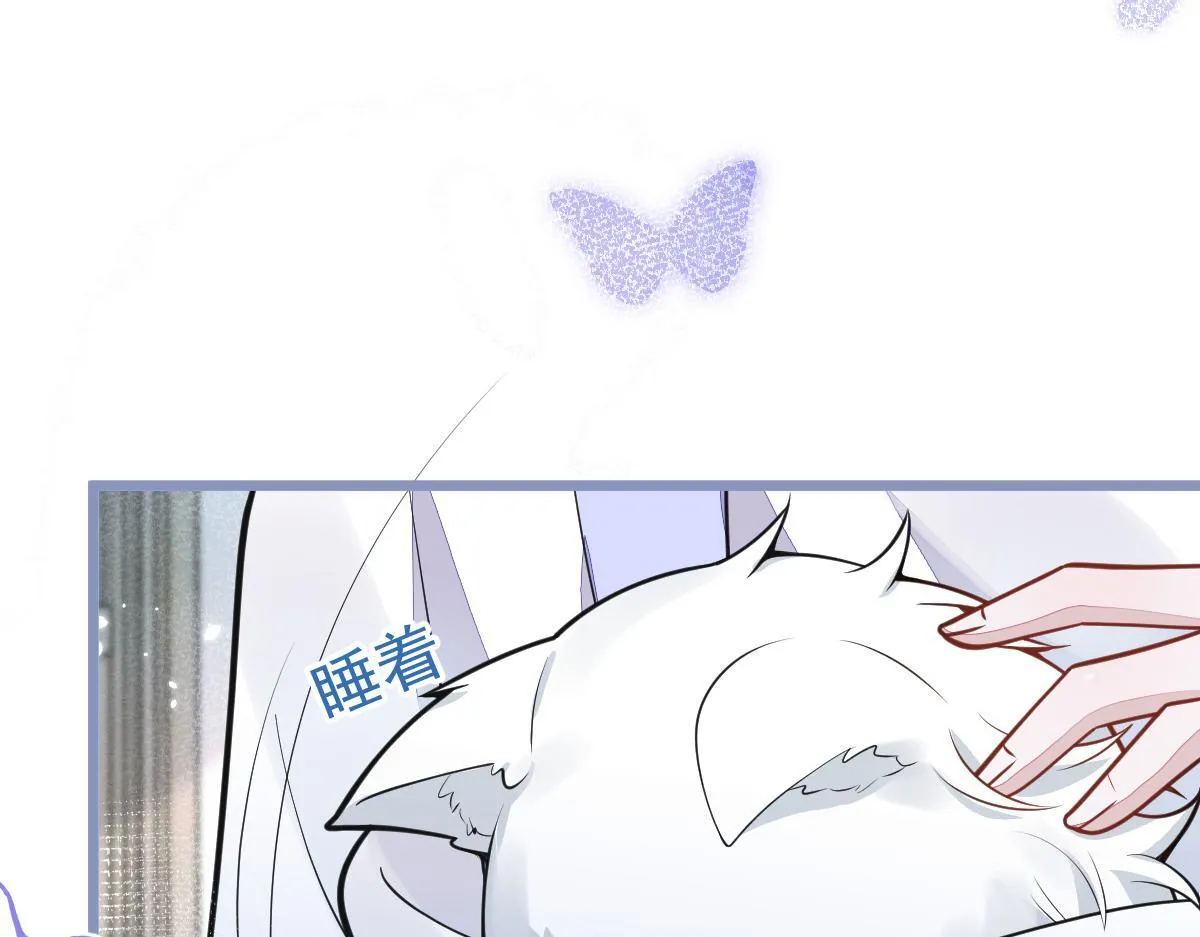 5-球球不可以！17
