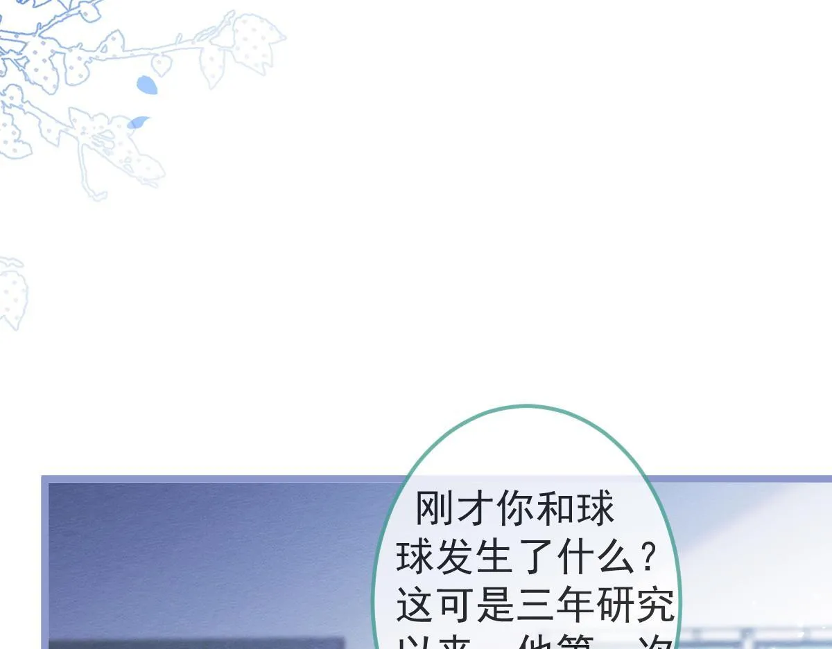 5-球球不可以！51