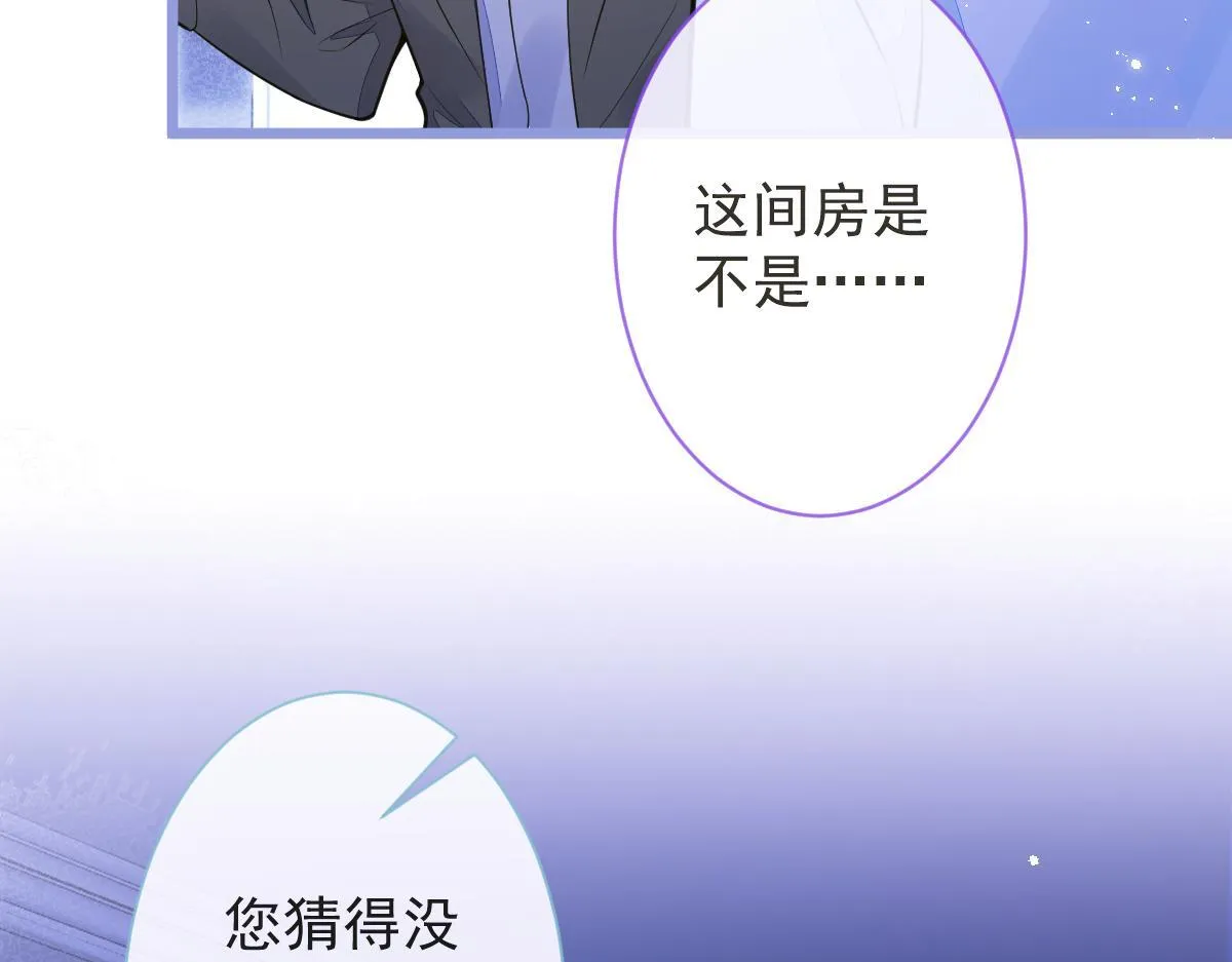12-花孔雀。26