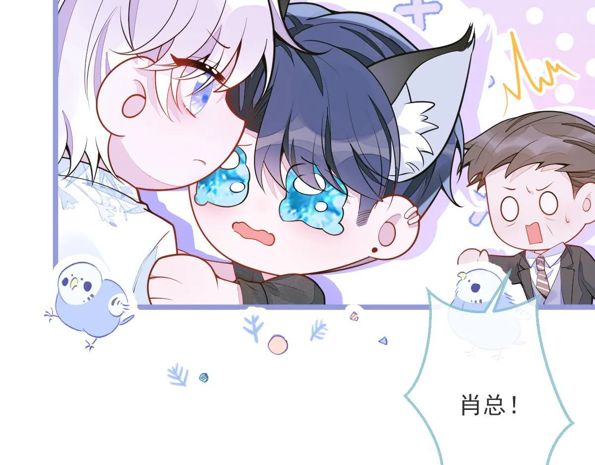 12-花孔雀。9