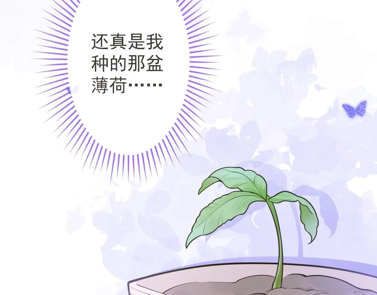 12-花孔雀。33