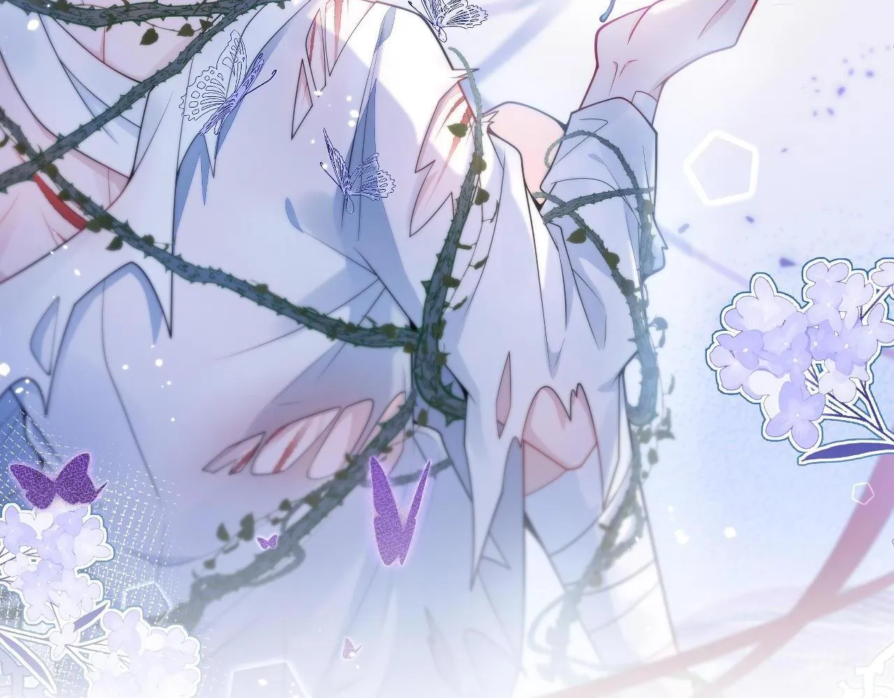 12-花孔雀。1