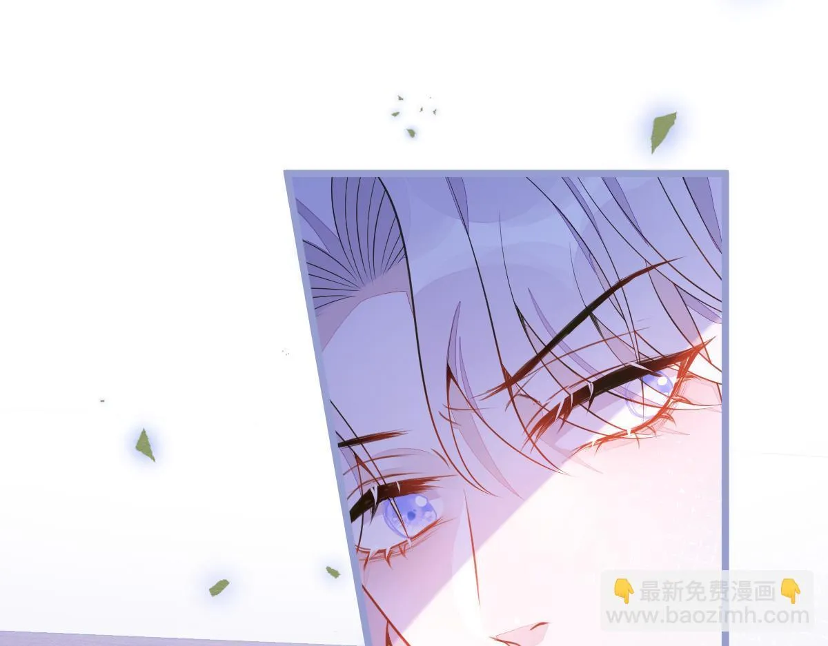5-球球不可以！113