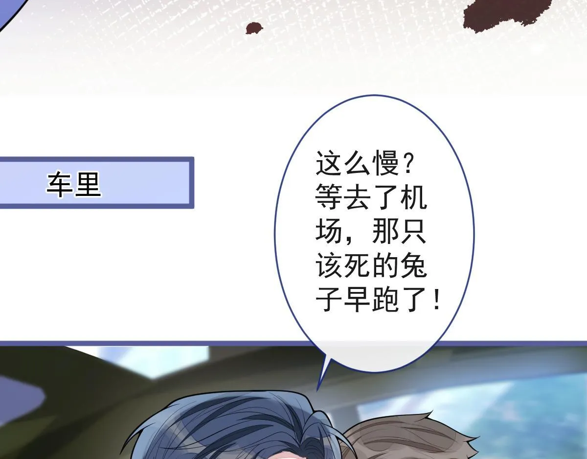 67-球球失踪！15