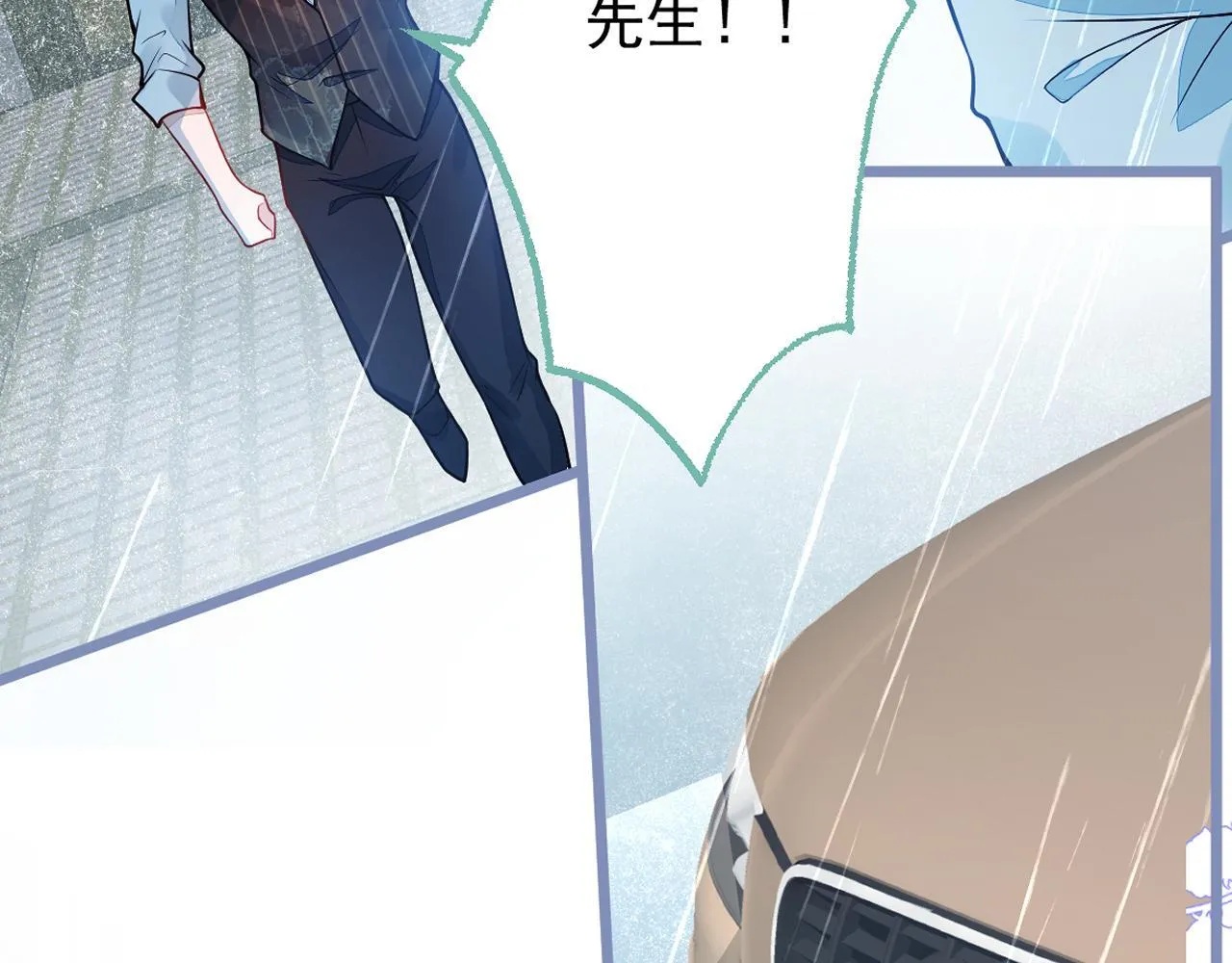 12-花孔雀。108