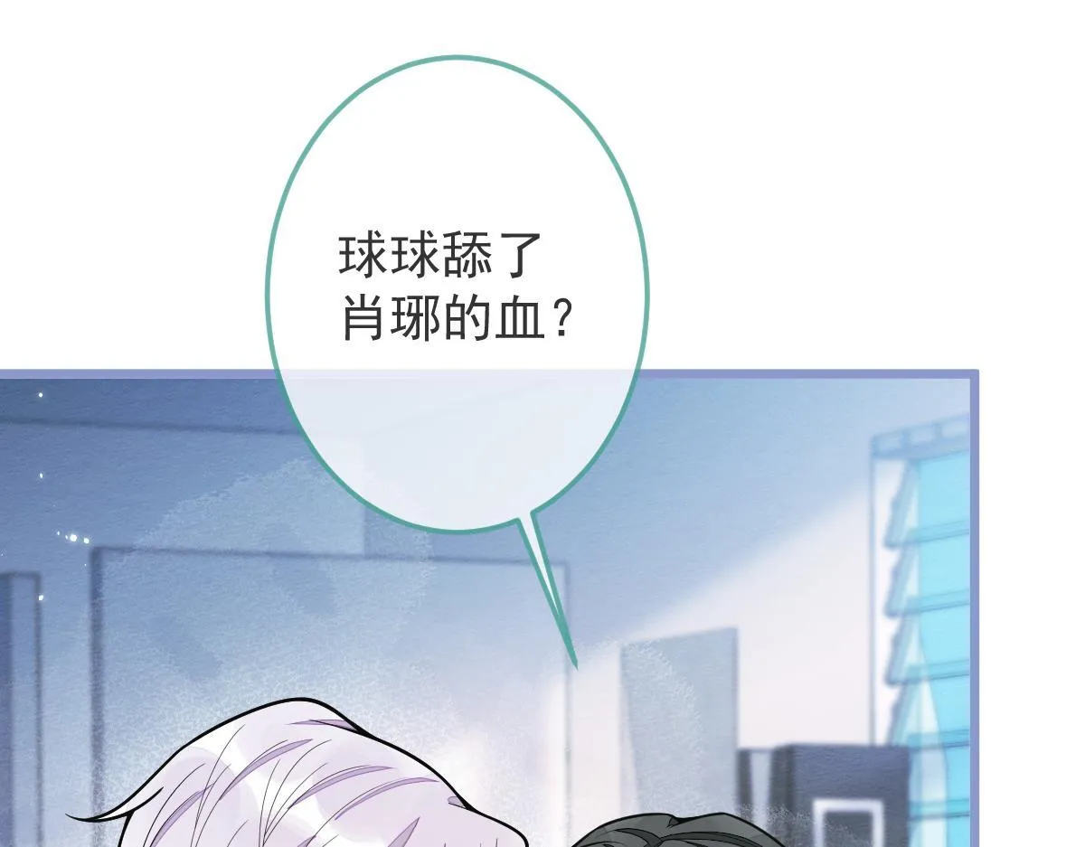 5-球球不可以！54