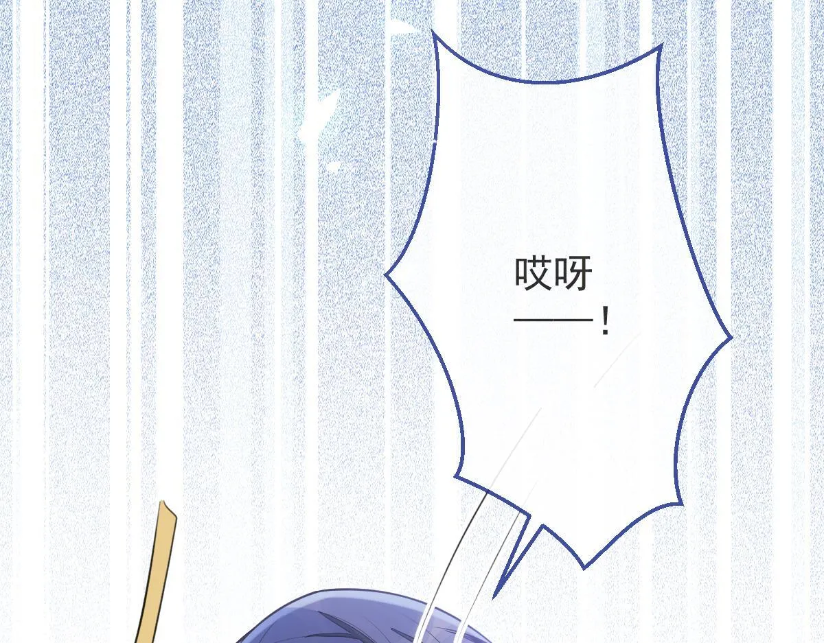 12-花孔雀。5